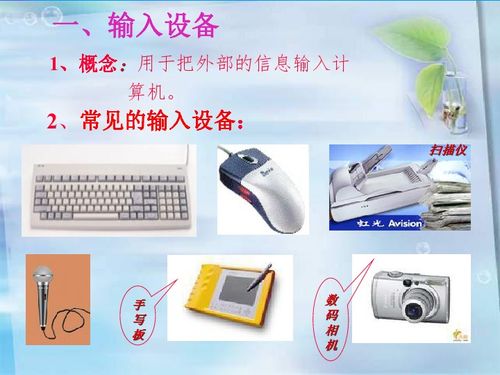 计算机硬件系统的组成与基本结构