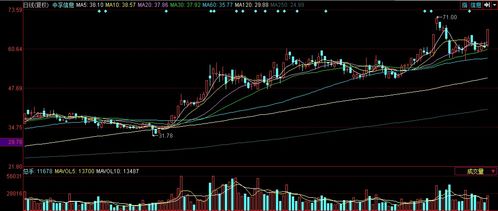 中国软件板块走强 中孚信息涨停背后的技术突破与市场机遇